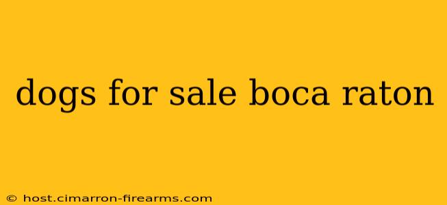 dogs for sale boca raton