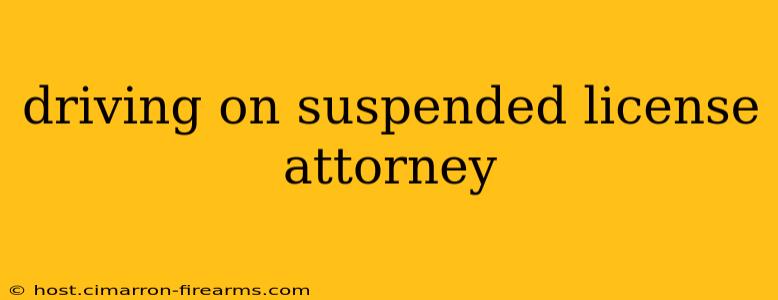 driving on suspended license attorney