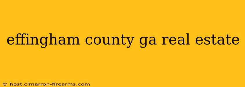 effingham county ga real estate