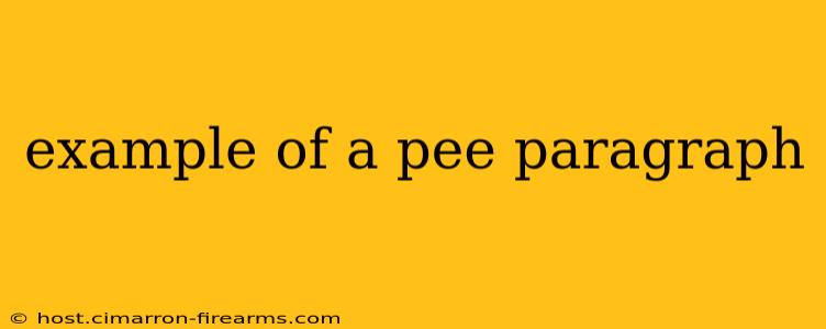 example of a pee paragraph