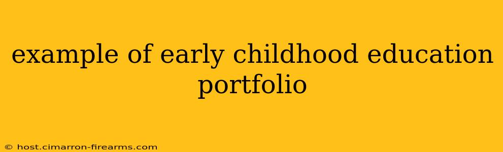 example of early childhood education portfolio