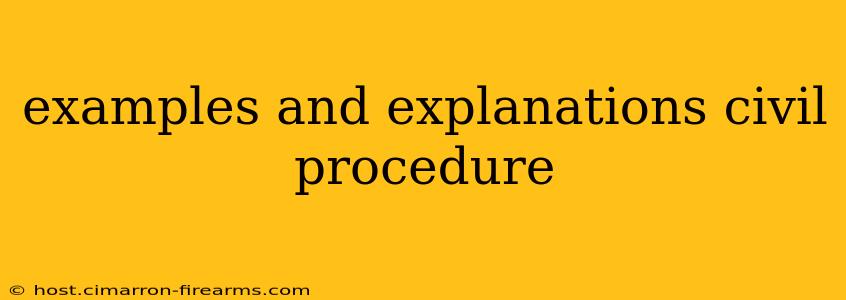 examples and explanations civil procedure