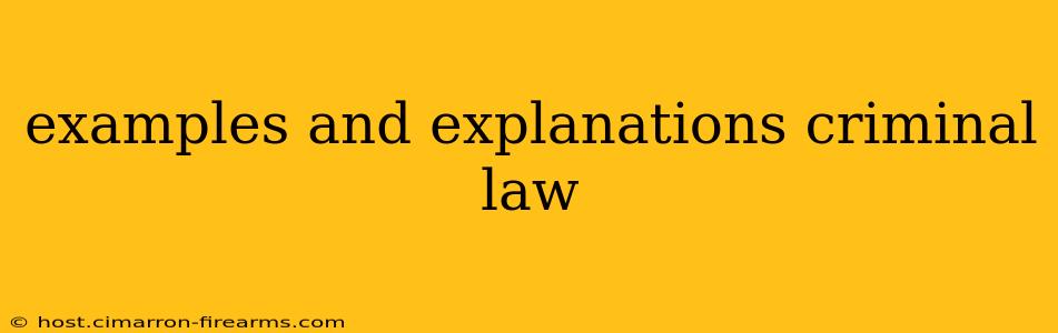 examples and explanations criminal law