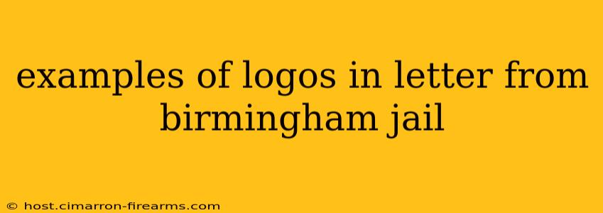 examples of logos in letter from birmingham jail