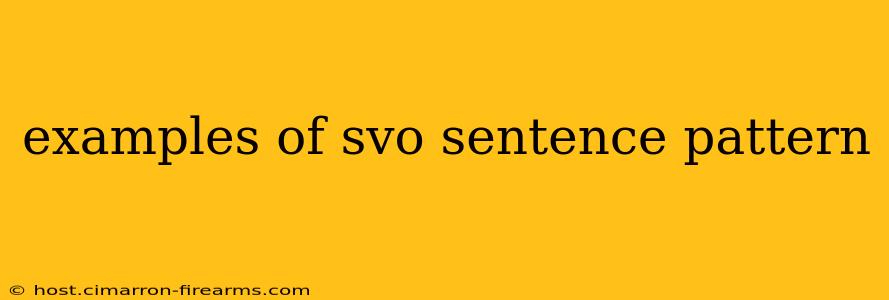 examples of svo sentence pattern