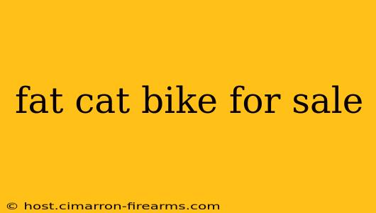 fat cat bike for sale