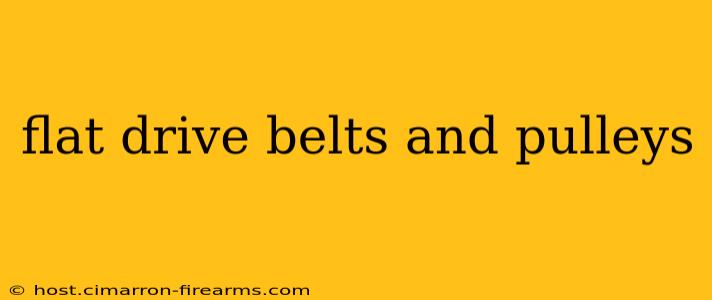 flat drive belts and pulleys