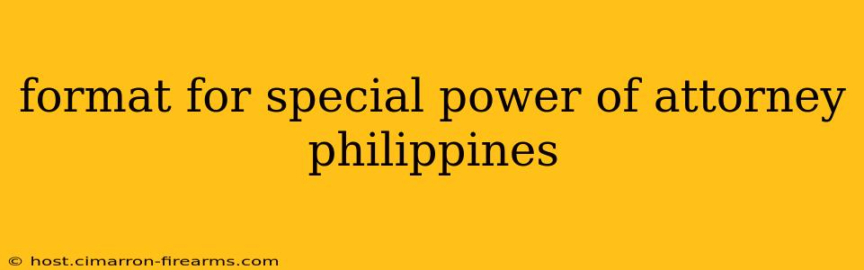 format for special power of attorney philippines