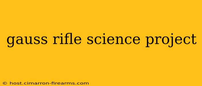 gauss rifle science project