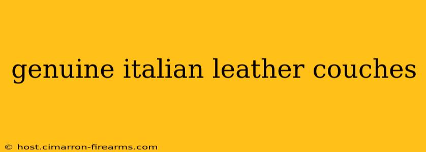 genuine italian leather couches