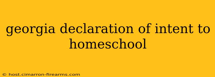 georgia declaration of intent to homeschool