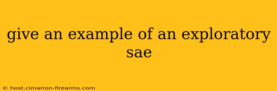 give an example of an exploratory sae