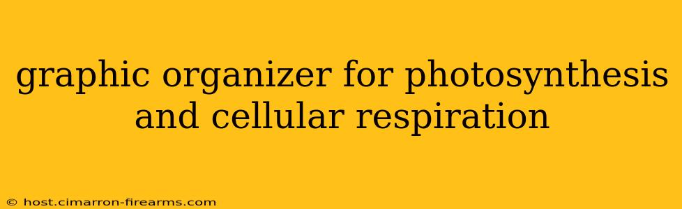 graphic organizer for photosynthesis and cellular respiration