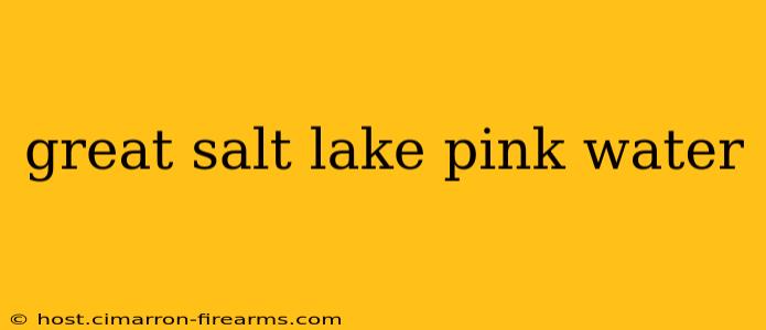 great salt lake pink water