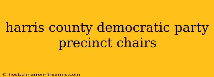 harris county democratic party precinct chairs