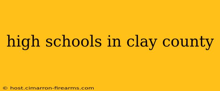 high schools in clay county