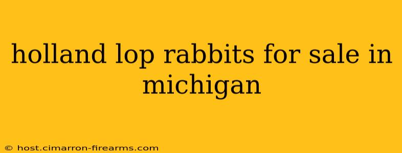 holland lop rabbits for sale in michigan