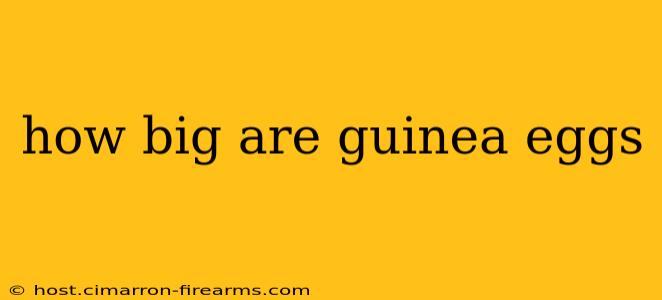 how big are guinea eggs