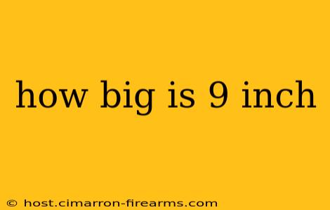 how big is 9 inch