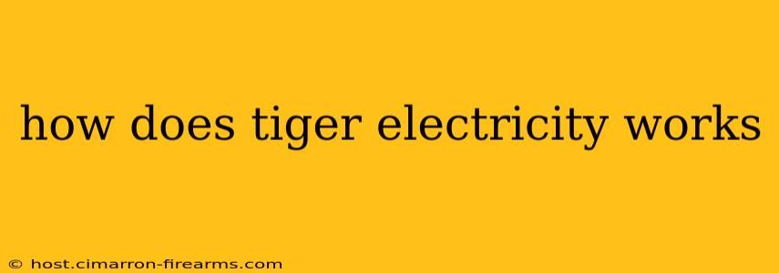 how does tiger electricity works