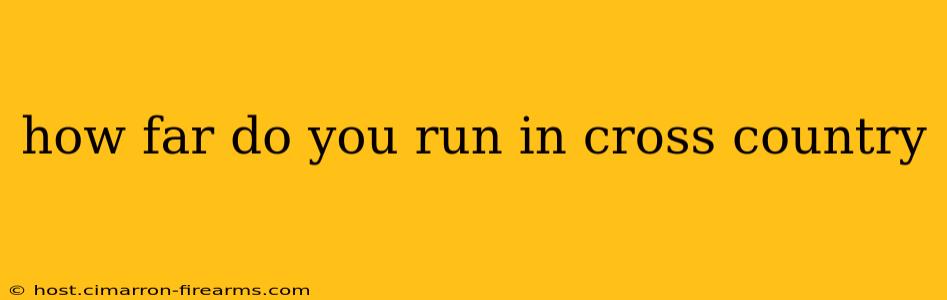 how far do you run in cross country