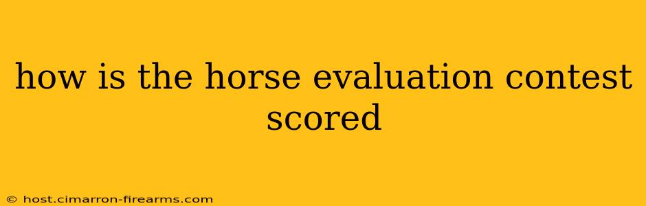 how is the horse evaluation contest scored