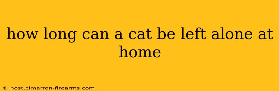 how long can a cat be left alone at home