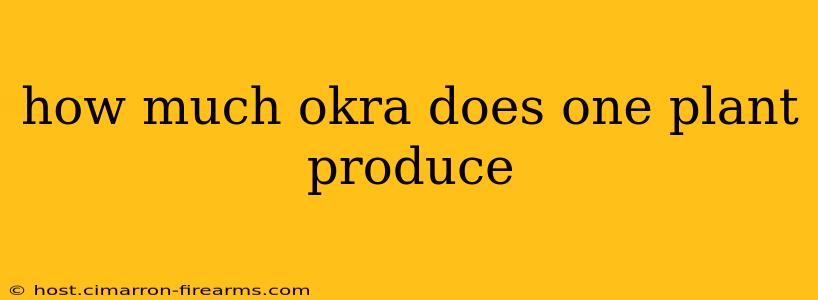 how much okra does one plant produce