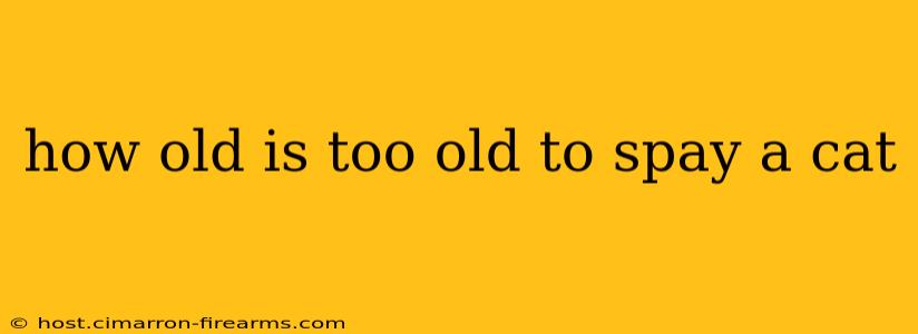 how old is too old to spay a cat