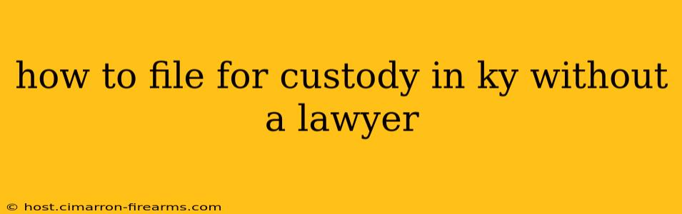 how to file for custody in ky without a lawyer