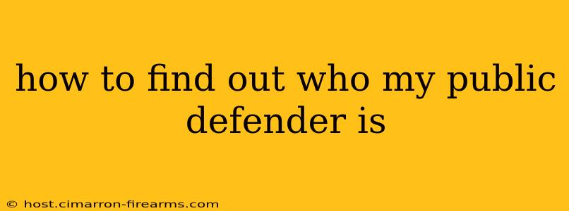 how to find out who my public defender is