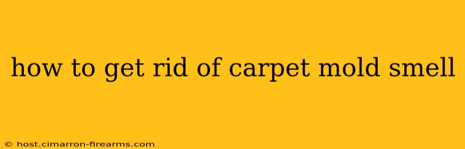 how to get rid of carpet mold smell