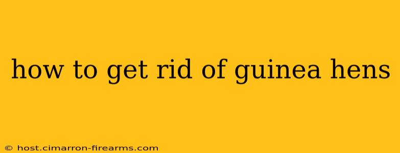 how to get rid of guinea hens