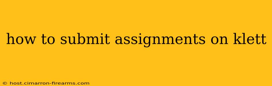 how to submit assignments on klett