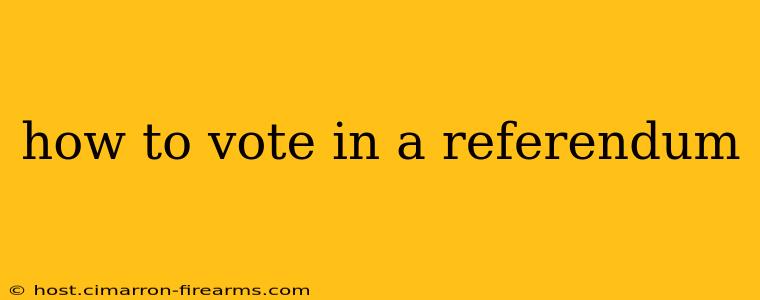 how to vote in a referendum