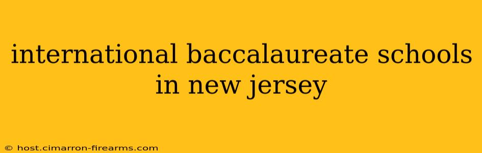 international baccalaureate schools in new jersey