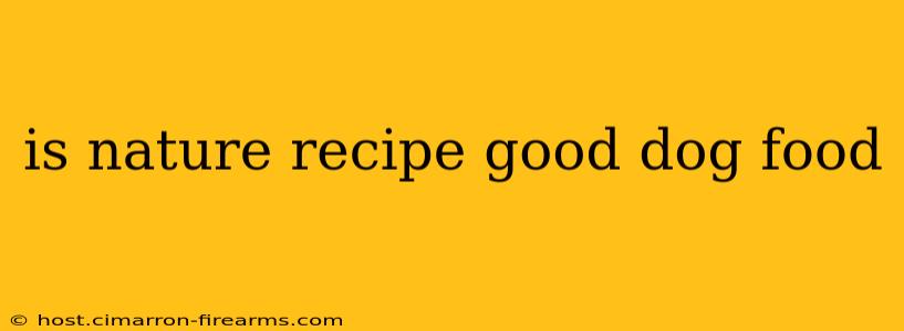 is nature recipe good dog food