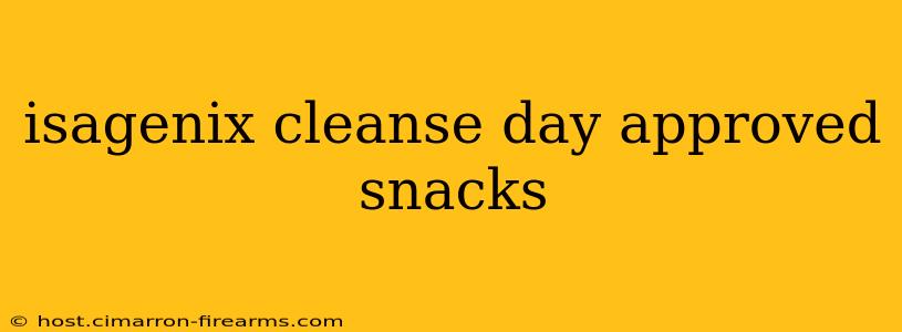 isagenix cleanse day approved snacks