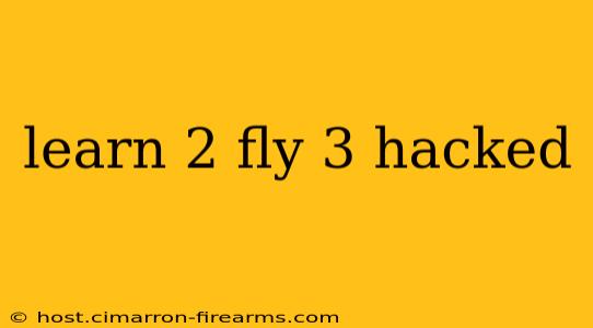 learn 2 fly 3 hacked