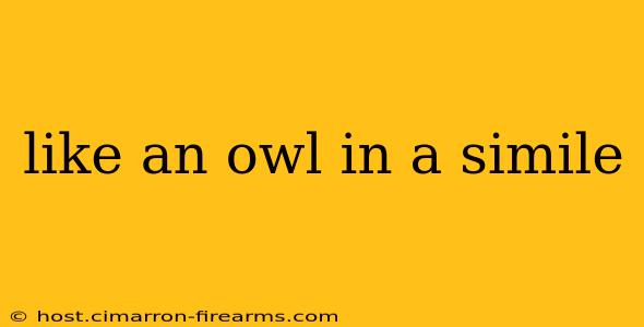 like an owl in a simile