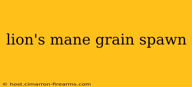 lion's mane grain spawn