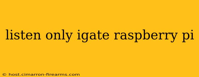 listen only igate raspberry pi