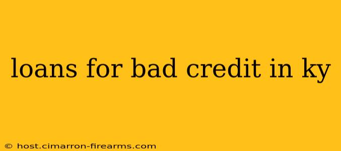 loans for bad credit in ky