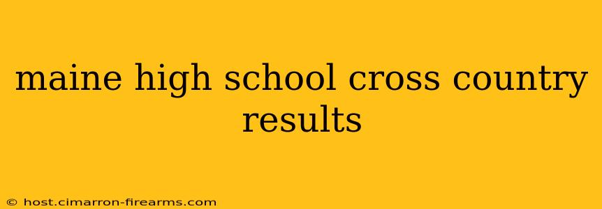 maine high school cross country results