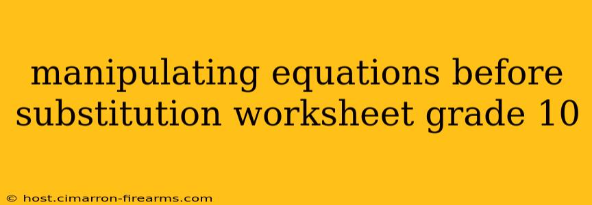 manipulating equations before substitution worksheet grade 10