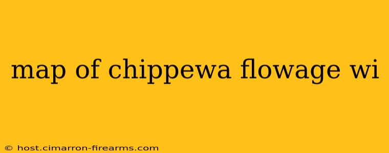 map of chippewa flowage wi