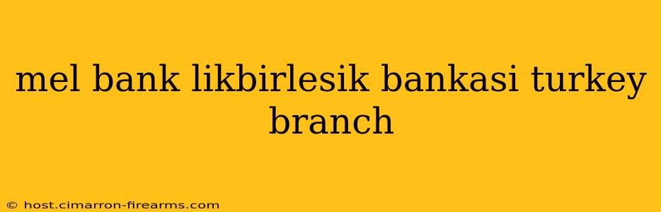 mel bank likbirlesik bankasi turkey branch