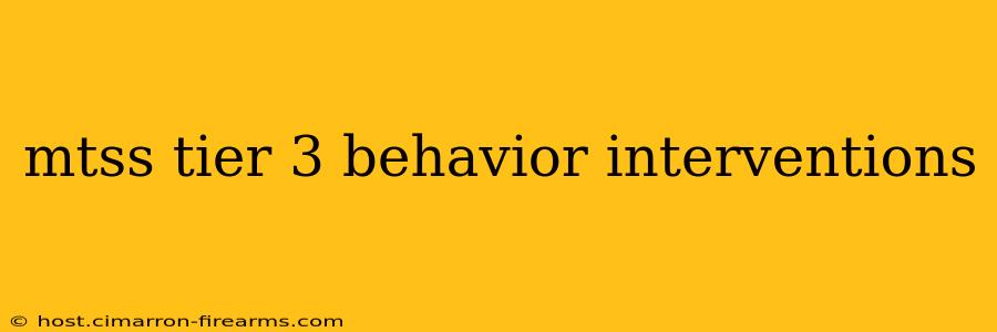 mtss tier 3 behavior interventions