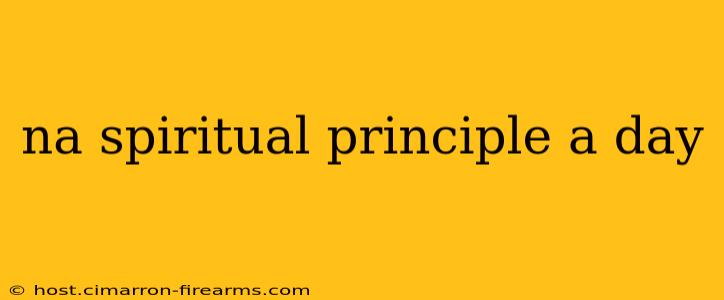 na spiritual principle a day