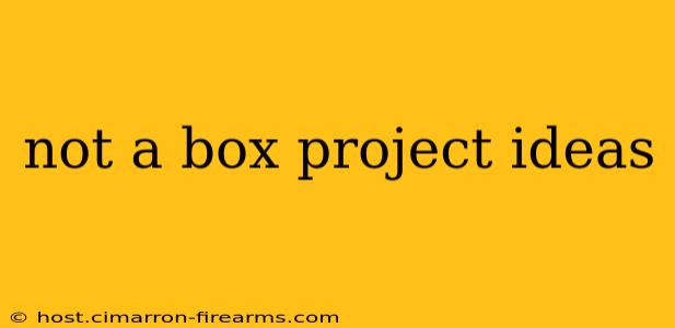 not a box project ideas